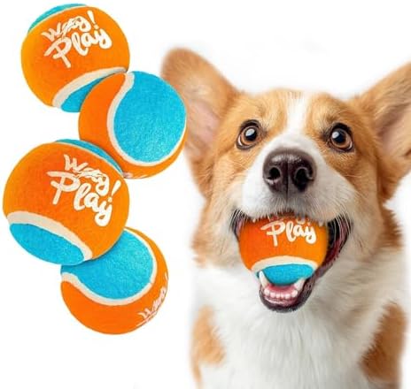 ALL FOR PAWS 2.5" Tennis Balls for Dogs, Dog Balls for Ball Launcher Toy, Bouncy & Durable Fetch Balls for Medium Large Dogs, 4 Pack Fetch Toy for Outdoor Play by Home