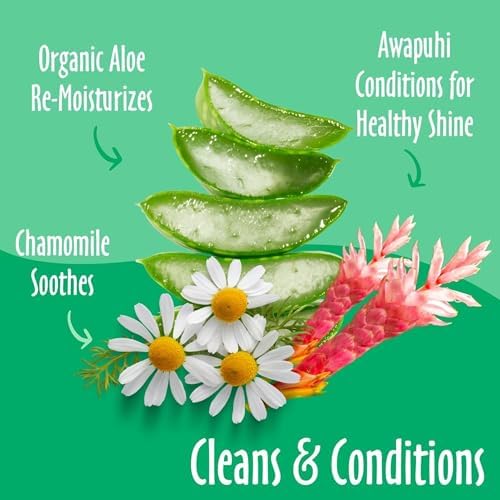 earthbath Green Tea & Awapuhi Grooming Wipes, 100 Count (2 Pack) - Image 4