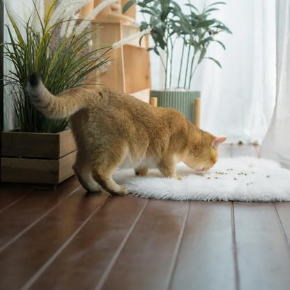 Fluffy Cat Bed Mat 19.6"x31.4" Furry Small Dog Cats Cushions for Indoor - Image 2