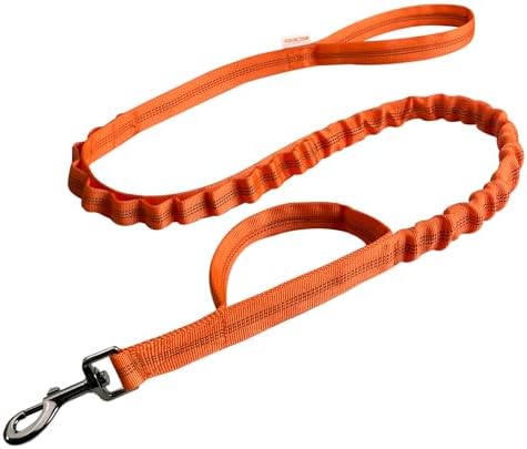 FOVRLZSE Bungee Dog Leash, Reflective Shock Absorbing, 4FT–5FT,Orange by FOVRLZSE