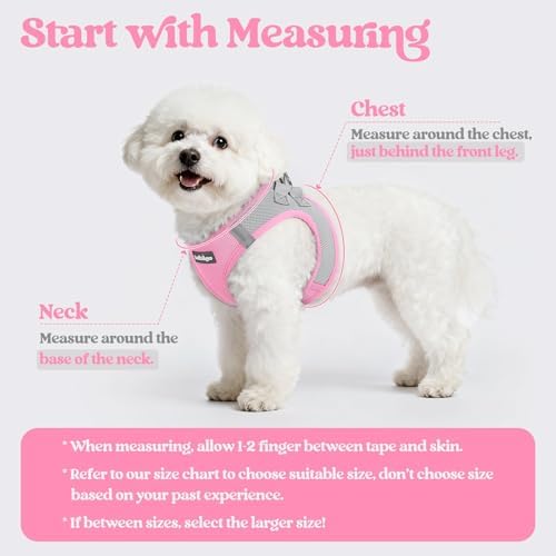 rabbitgoo Dog Harness Small Sized and Leash Set, Step-in Puppy Pet Vest - Image 2