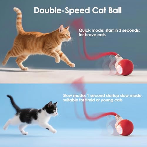 Interactive Cat Toys for Bored Indoor Cats - Motion Activated, RGB Lighting, 2 Speed Settings & 3 Modes - for Cats & Kittens! - Image 6
