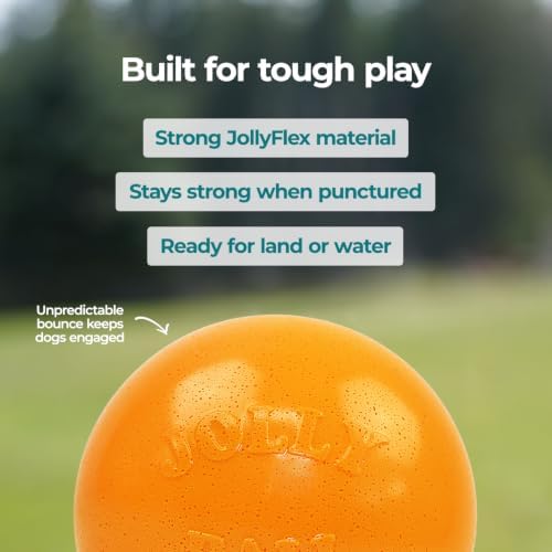 Jolly Pets Bounce-n-Play Dog Toy Ball, 8 Inches/Large, Orange, (Model: 2508 OR) - Image 6