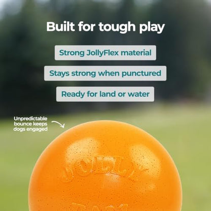 Jolly Pets Bounce-n-Play Dog Toy Ball, 8 Inches/Large, Orange, (Model: 2508 OR) - Image 6