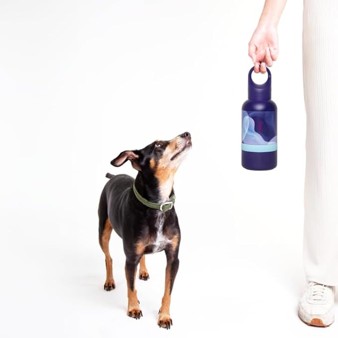 Ubbi Pet x Karim Rashid Pup & Me Insulated Dog Water Bottle with Detachable Bowl, 32 oz Stainless Steel Portable Travel Bottle for Dogs and Owners, Purple