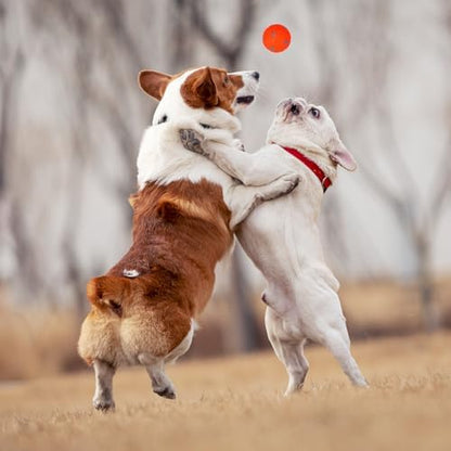 Dog Toy Balls for Small Dogs & Puppies, Chew & Chase Interactive 2” Soft Latex Balls, Durable Dogs Play Balls for Indoor/Outdoor (9 Pcs) - Image 7