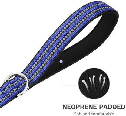 Hikiko Double Handle Dog Leash with Two Comfortable Padded Handles - Image 4