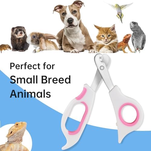 Bearded Dragon Nail Clippers with Precise Angled Edges - Image 4