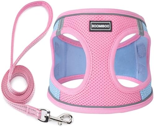 Dog Harness with Leash Set, Step-in Adjustable Puppy Vest, Pink Green S by BOOMIBOO