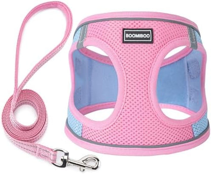 Dog Harness with Leash Set, Step-in Adjustable Puppy Vest, Pink Green S by BOOMIBOO