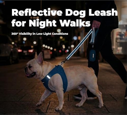 Best Pet Supplies Voyager Nylon Dog Leash - Royal Blue, Large - Image 5