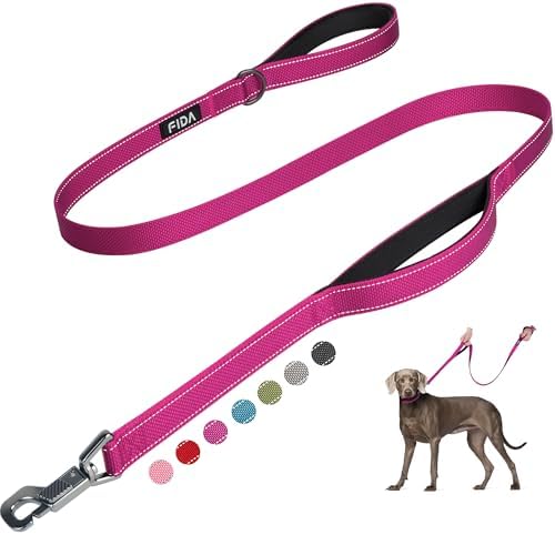 Fida Heavy Duty Dog Leash for Medium Large Dogs, 4 FT, Dual Padded Handles by Fida