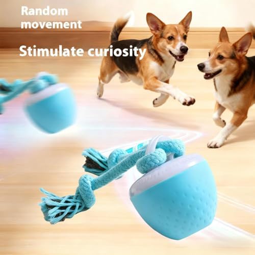 Interactive Dog Ball Toy with Birdsong & Rope, Automatic Moving Dog Toy - Image 3