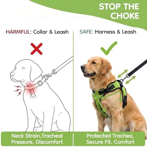 No Pull Reflective Adjustable Dog Harness with Handle- Comfortable Soft All Weather Mesh, Easy On Puppy Harness for Small Medium and Large Dogs (Green) X-Large - Image 5