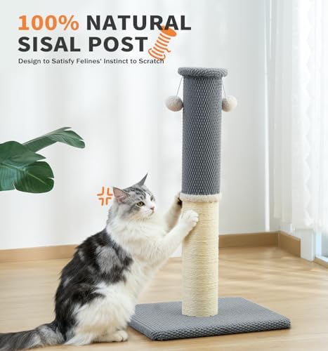 Made4Pets Cat Scratching Post with Sisal & Carpet for Indoor Cats, 23.6" - Image 7