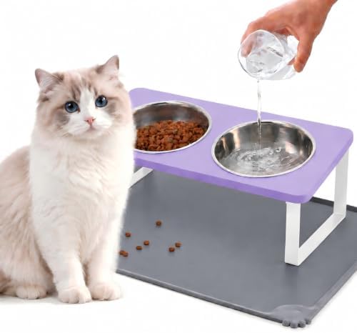 Summark Upgraded Elevated Cat Bowls with Food Mat,15°Tilted Stand Anti Vomiting Raised Cat Dishes for Food and Water,2 Stainless Steel Bowls for Cats and Puppy（Lavender） by Summark