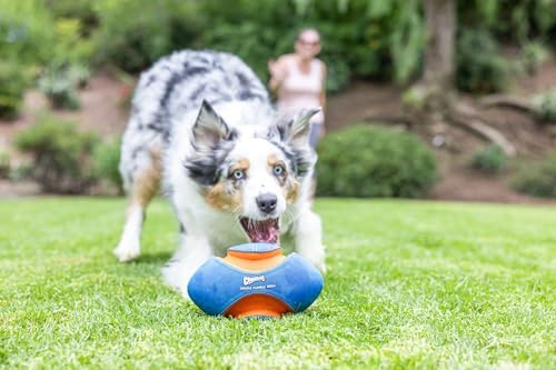 Chuckit! Giggle Fumble Fetch Ball Dog Toy 7.9", Makes Funny Giggle Sounds - Image 7