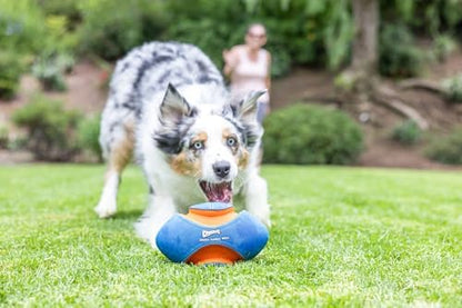 Chuckit! Giggle Fumble Fetch Ball Dog Toy 7.9", Makes Funny Giggle Sounds - Image 7