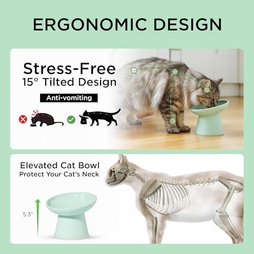 Necoichi BPA-Free Elevated Cat Food Bowls, 15° Tilted, 2-Pack (Smoky Mint) - Image 3