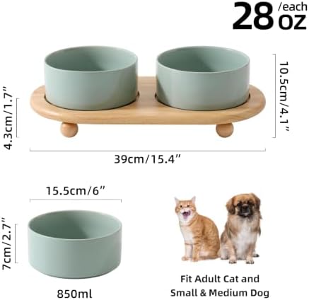 Havniva Raised Cat Bowl, 6.1” Elevated Ceramic Cat Food and Water Bowl Set - Image 4