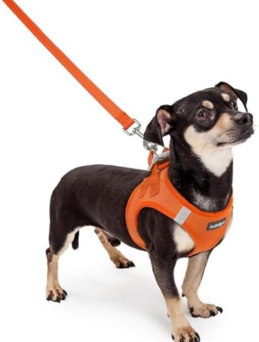 rabbitgoo Dog Harness Small Sized and Leash Set, Step-in Puppy Pet Vest by rabbitgoo