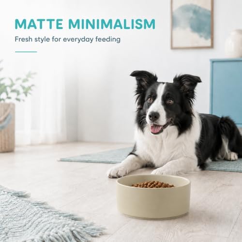 Havniva Ceramic Dog Bowls, 7.3” Dog Food and Water Bowl, Pet Feeding Bowl - Image 7