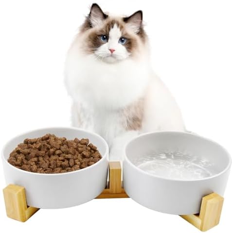 Ceramic Cat Bowls with Bamboo Stand,Non-Slip Small Dog Food and Water Bowl Set Non-Spill Cats Feeder Dish Modern Cute Weighted Cat Dishes for Small Dogs Puppy Cats Kitten(White) by MUYG