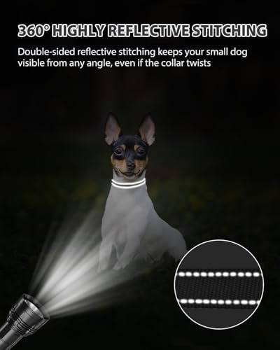Joytale Feather-Light Puppy Collar for Extra Small Dogs, 3/8", Black - Image 5