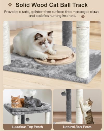 Small Cat Tree with Large Top Perch & Cat Ball Track Toy, Indoor Cat Tower - Image 2