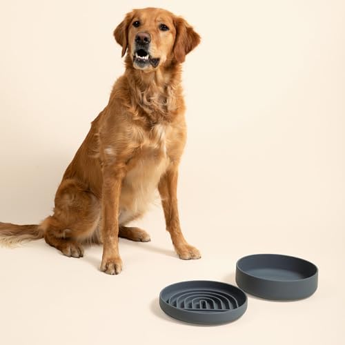 Slow Feeder Dog Bowl - Silicone Dog Bowl, Large, 9.5" x 1.5" - Charcoal - Image 4