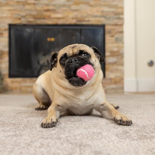Hyper Pet Mini Extra Small Tennis Balls for Dogs, 1.75 Inch, 8 Pack, Pink - Image 6