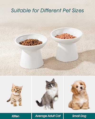 vancasso 2-Pack Elevated Cat Food Bowls, 6.2" Wide Shallow Cat Feeding Dish - Image 6