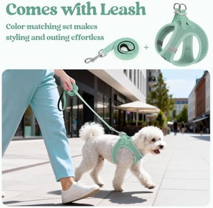 rabbitgoo Dog Harness Small Sized and Leash Set, Step-in Puppy Pet Vest - Image 6