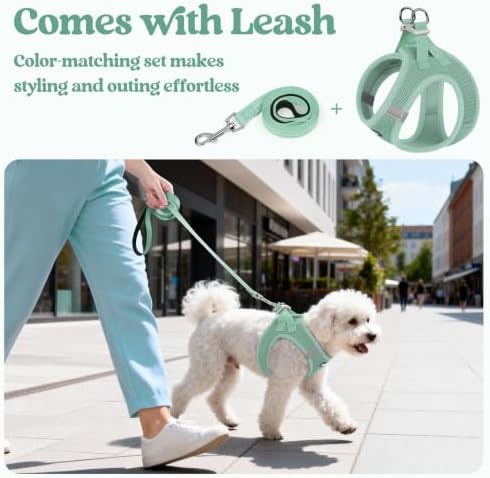 rabbitgoo Dog Harness Medium Sized and Leash Set, Step-in Puppy Pet Vest - Image 6
