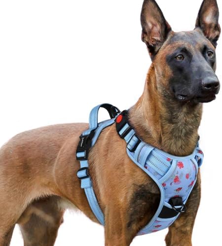 rabbitgoo Dog Harness for Large, Updated Easy On & Off with 3 Buckles by rabbitgoo