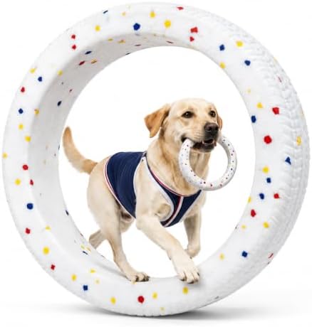 Durable ETPU Dog Ring Toy - Tough Flying Disc Fetch Toy for Aggressive Chewers, Lightweight & Floating Dog Frisbee for Medium Large Dogs, Interactive Chew Toy for Outdoor Water Play by PETPLAYTIME
