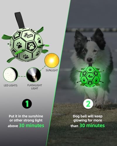 QDAN Glow in The Dark Dog Balls, Soccer Balls for Dogs with Straps, 8 Inch - Image 2
