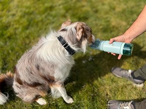 Stainless Steel Dog Travel Water Bottle, Vacuum Insulated Portable Dog Water Dispenser, Large Bottle with Drink Cup On The Go, Outdoor Walking, Hiking, Travel (Mint, 22oz) - Image 4