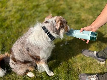 Stainless Steel Dog Travel Water Bottle, Vacuum Insulated Portable Dog Water Dispenser, Large Bottle with Drink Cup On The Go, Outdoor Walking, Hiking, Travel (Mint, 22oz) - Image 4