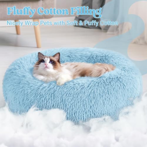rabbitgoo Calming Cat Beds for Indoor Cats, 20 inches, Light Blue - Image 3