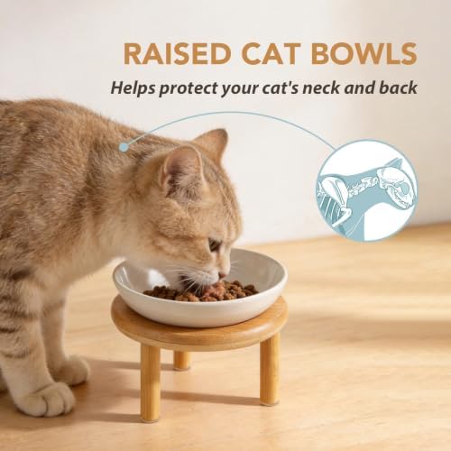 Havniva Elevated Cat Bowls, Ceramic Cat Bowl with Bamboo Stand Wide Opening - Image 4