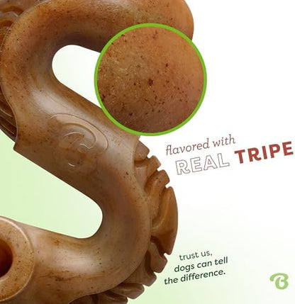 Benebone Tripe Bone Durable Dog Chew Toy for Aggressive Chewers, Medium - Image 2