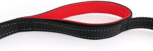 Primal Pet Gear Dog Leash 8ft Long - Black - Traffic Padded Two Handle - Heavy Duty - Double Handles Lead for Control Safety Training - Leashes for Large Dogs or Medium Dogs - Dual Handles Leads - Image 6