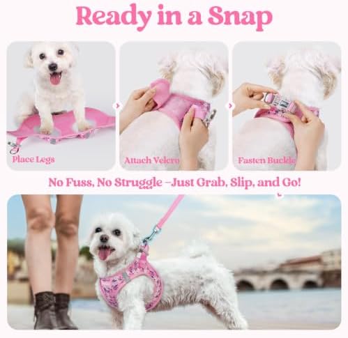 rabbitgoo Dog Harness Small Sized and Leash Set, Step-in Puppy Pet Vest - Image 5