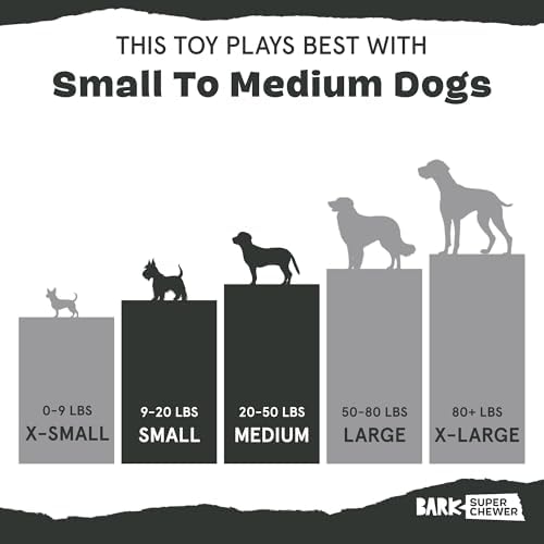 BarkBox Squash Dog Toy - Image 6