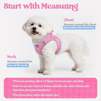 rabbitgoo Dog Harness Small Sized and Leash Set, Step-in Puppy Pet Vest - Image 2