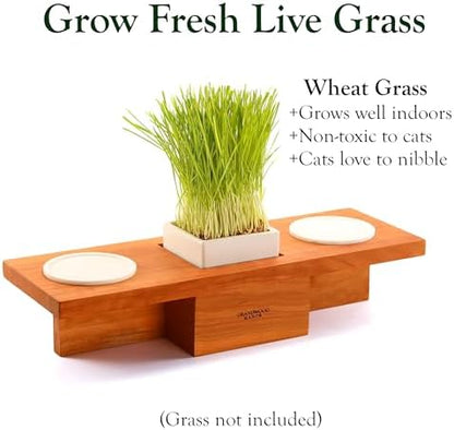 Solid Cherry Wood Raised Cat Feeding Station with Built-in Grass Planter - Image 2