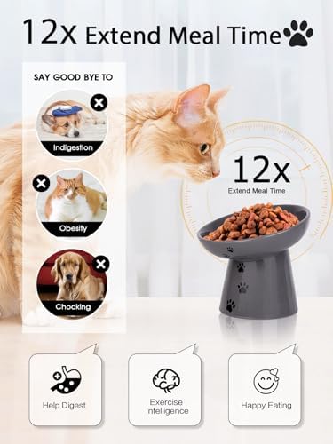 Y YHY Slow Feeder Cat Bowl, Ceramic Cat Slow Feeder Bowl, 6 Inches, Elevated, Anti Vomiting for Dry and Wet Food, Gray - Image 2
