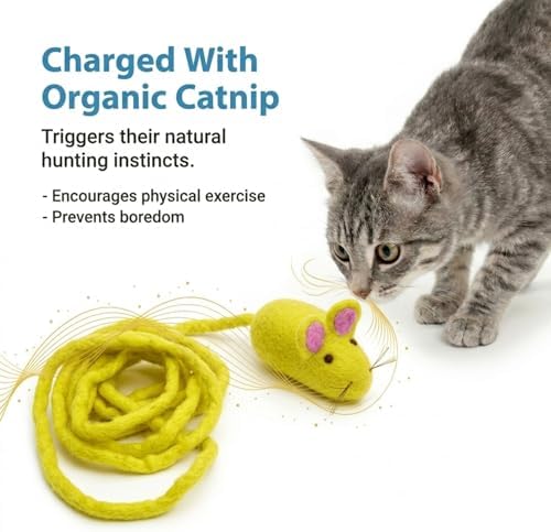 Glaciart One Felt Mouse Cat Toy – Soft Fuzzy Enrichment 100% Natural Wool - Interactive Catnip Play Cat Toy Set - Safe for Pets, Non-AZO Colored Dyes - 100” Long - Image 6