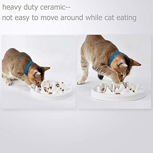 Lorde Slow Feeder Cat Bowls, Ceramic Fun Slow Feed Interactive Bloat Stop Puzzle Cat Bowl Healthy Eating Diet Pet Dog Slow Feeding Bowls… - Image 7